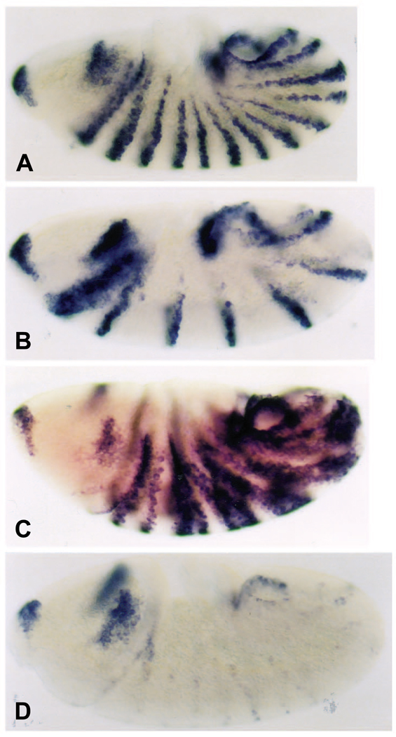 Fig. 5