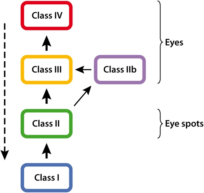 Fig. 6.