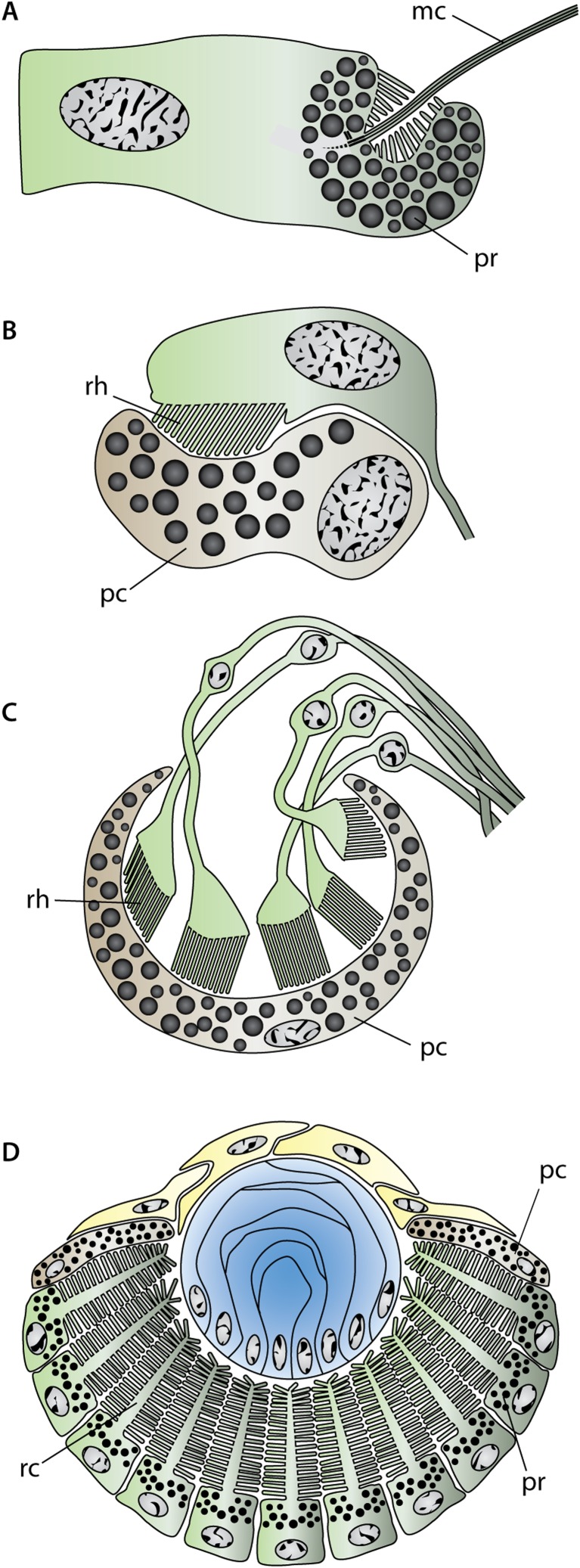 Fig. 4.