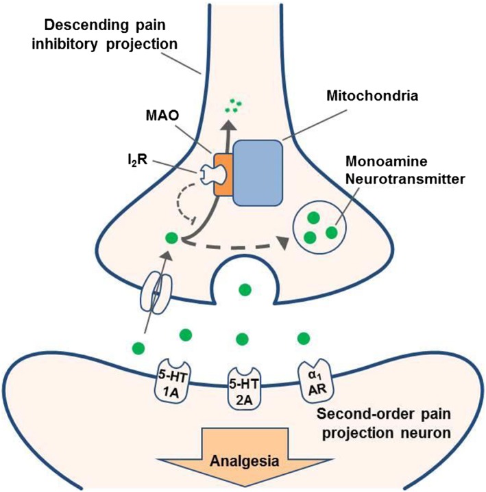 Figure 9