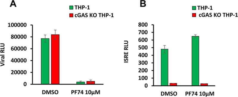 FIG 11