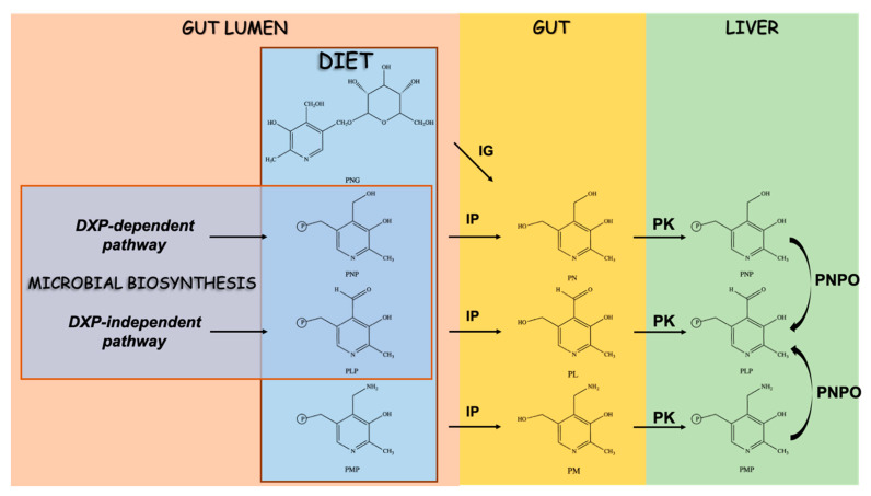 Figure 4