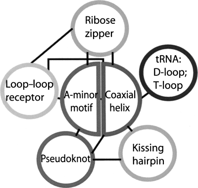 FIGURE 10.