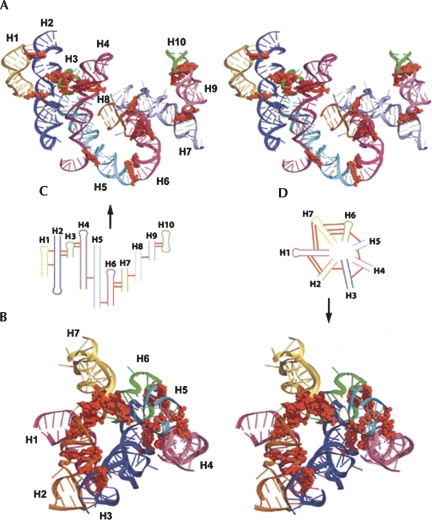 FIGURE 11.