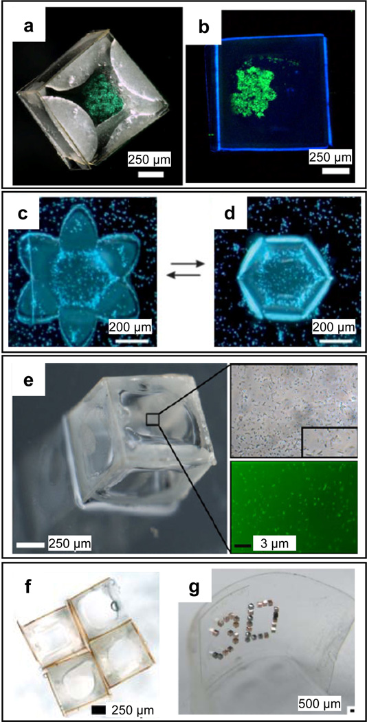 Figure 9