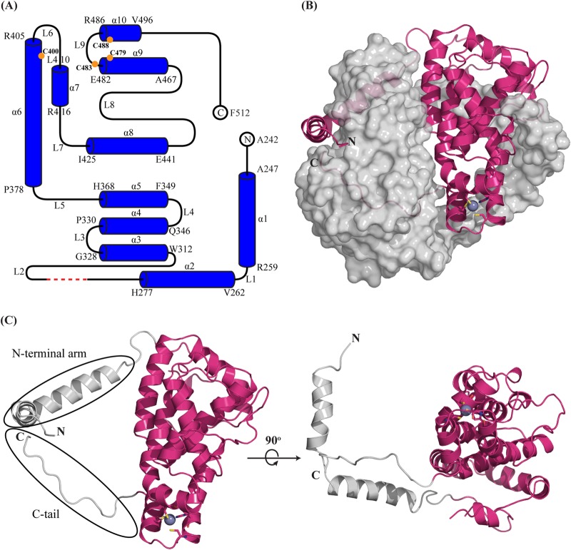 FIG 2