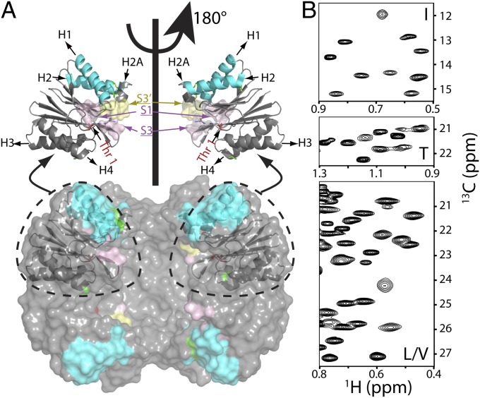 Fig. 1.