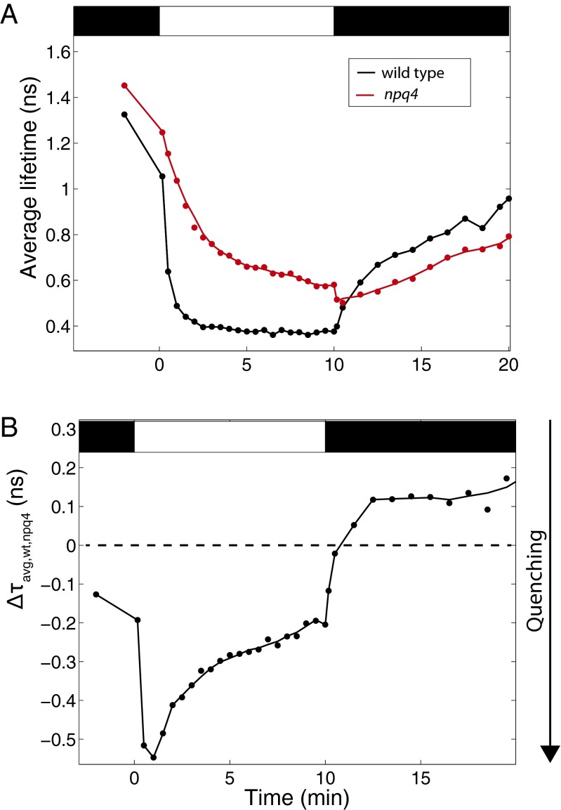 Fig. 3.