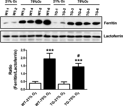 Fig. 8.