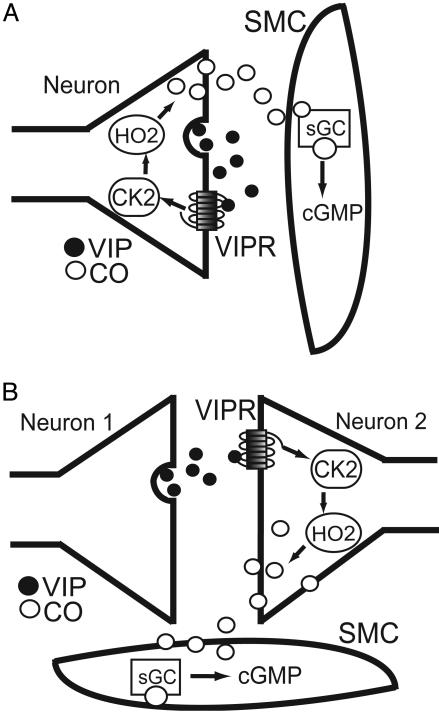 Fig. 6.