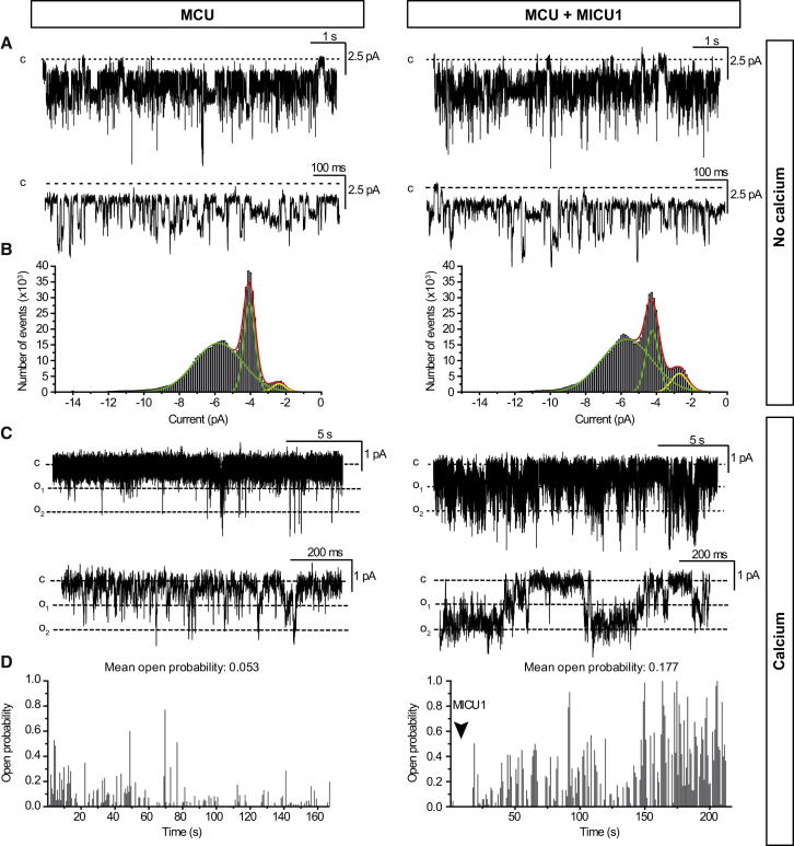 Figure 3