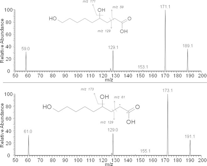 Fig. 8