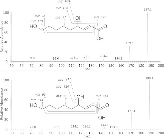 Fig. 7