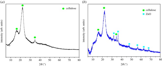 Figure 6.