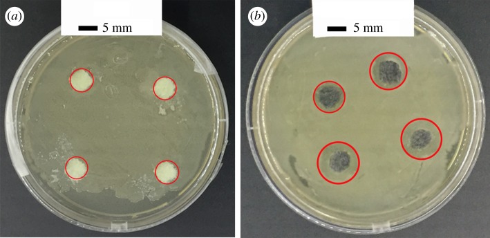 Figure 9.