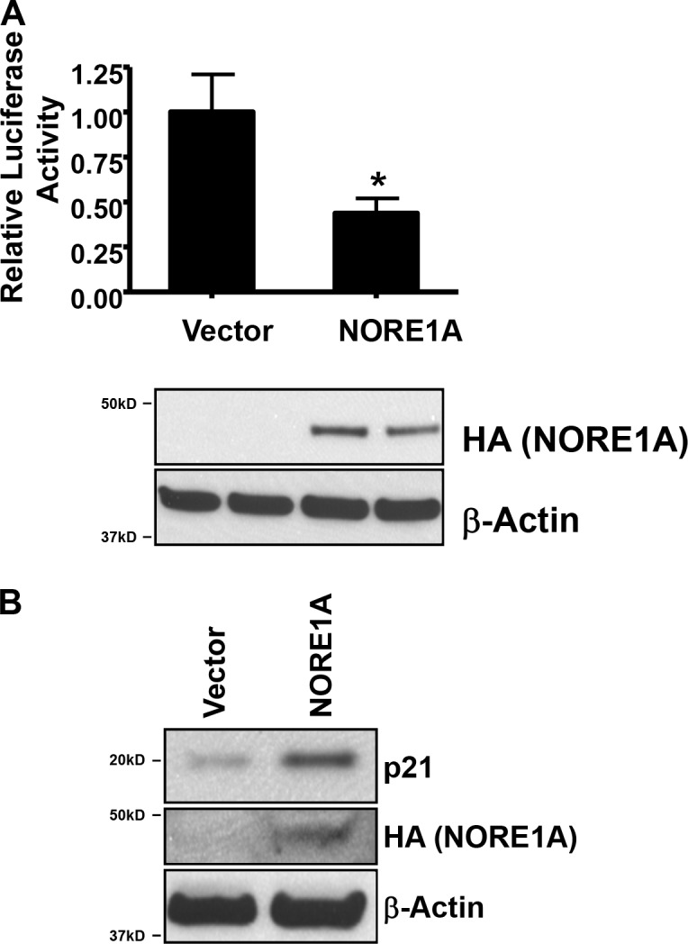 Figure 9.