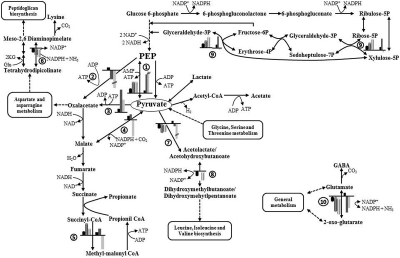 FIGURE 4