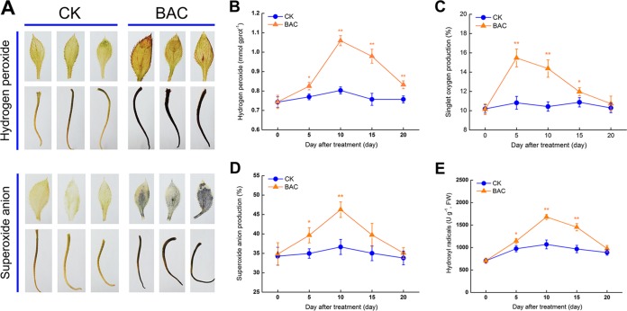 FIG 3