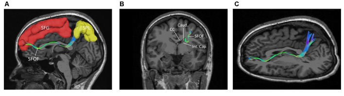 Figure 7