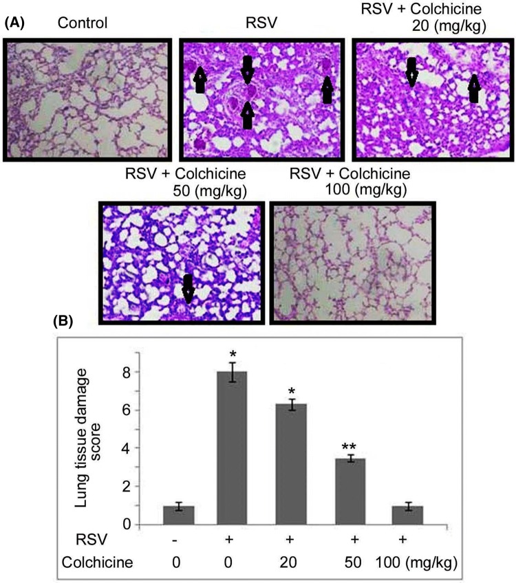 Fig. 7