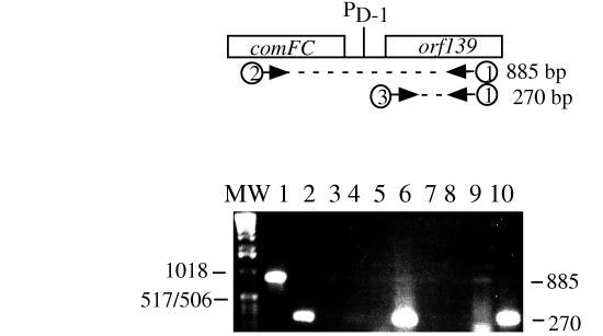 FIG. 8