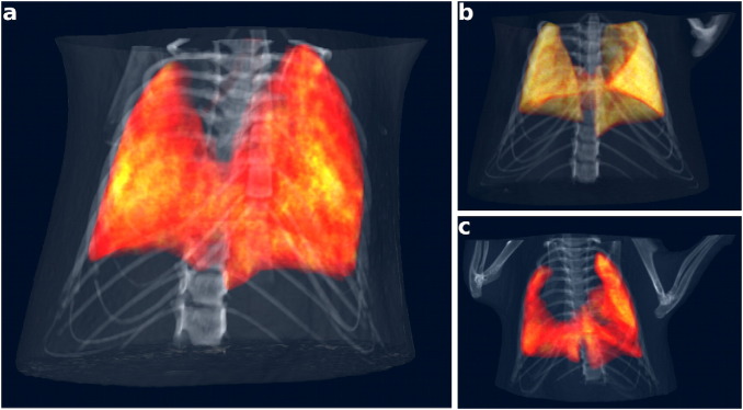 Fig. 4