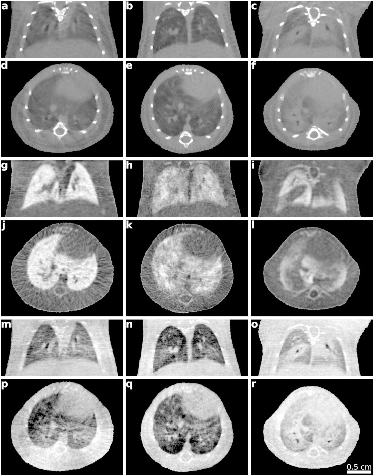 Fig. S1