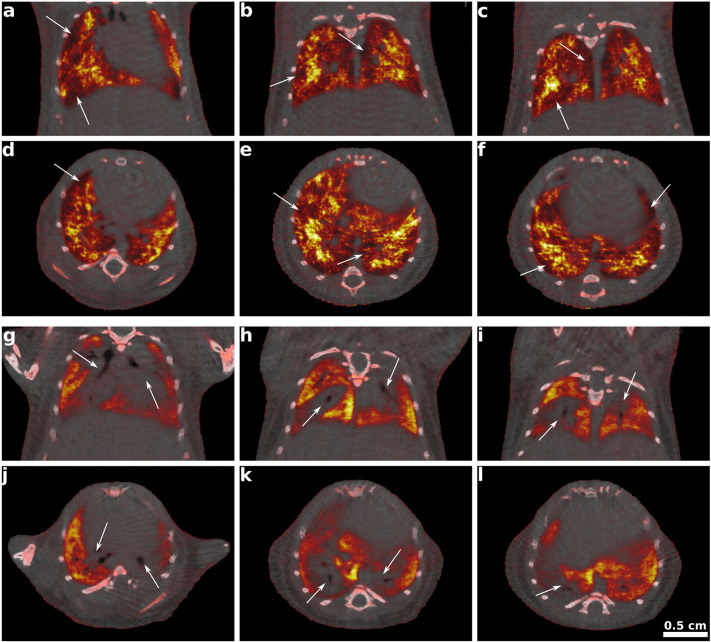 Fig. 3