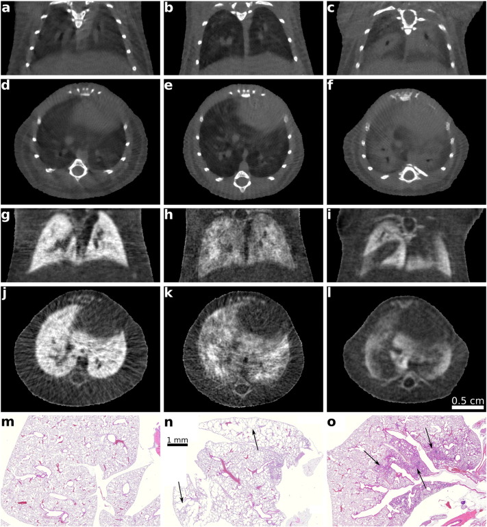 Fig. 2