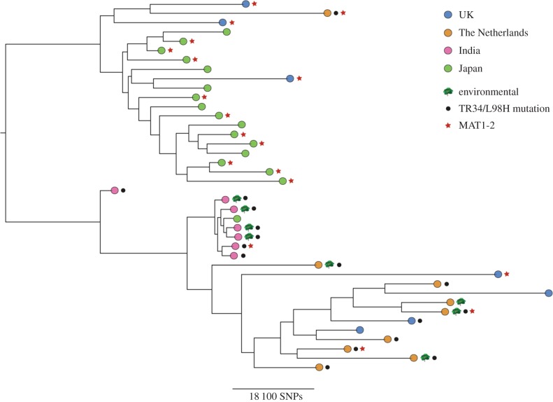 Figure 2.