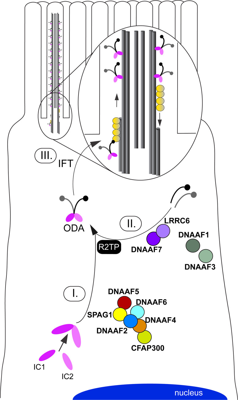 Fig 2