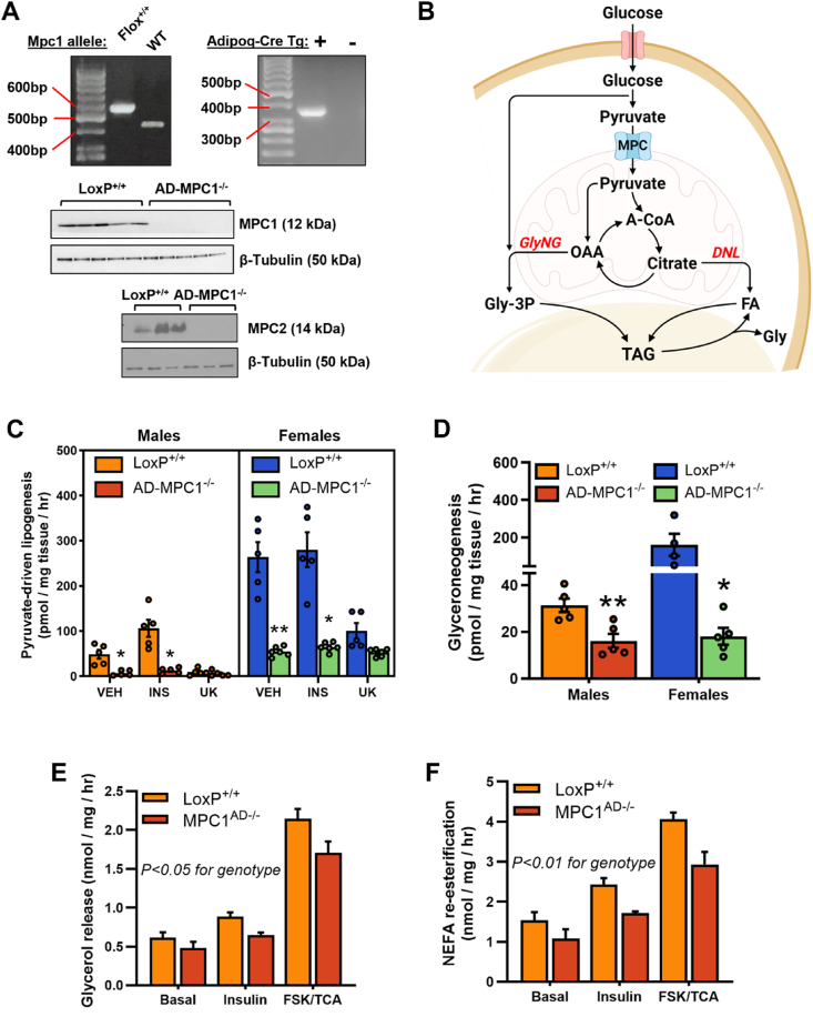 Figure 3