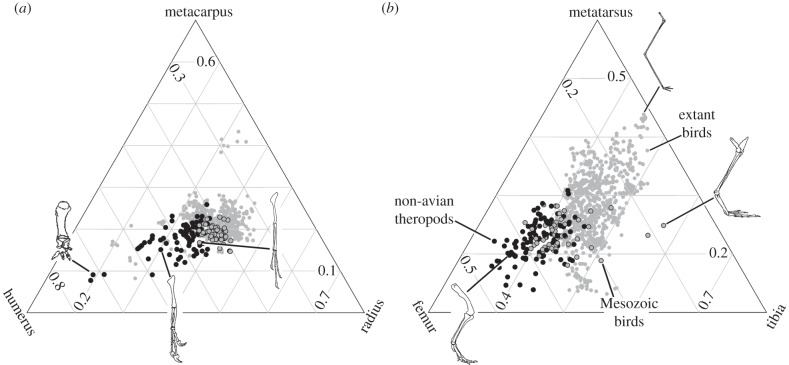 Figure 1.