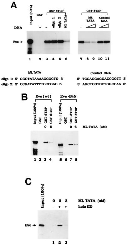 FIG. 8