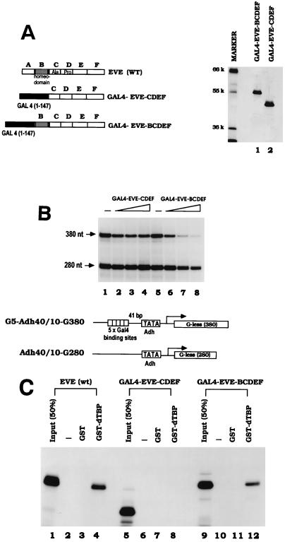 FIG. 5