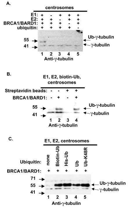 FIG. 5.