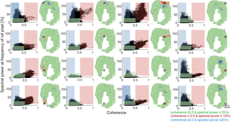 Figure 2—figure supplement 3.