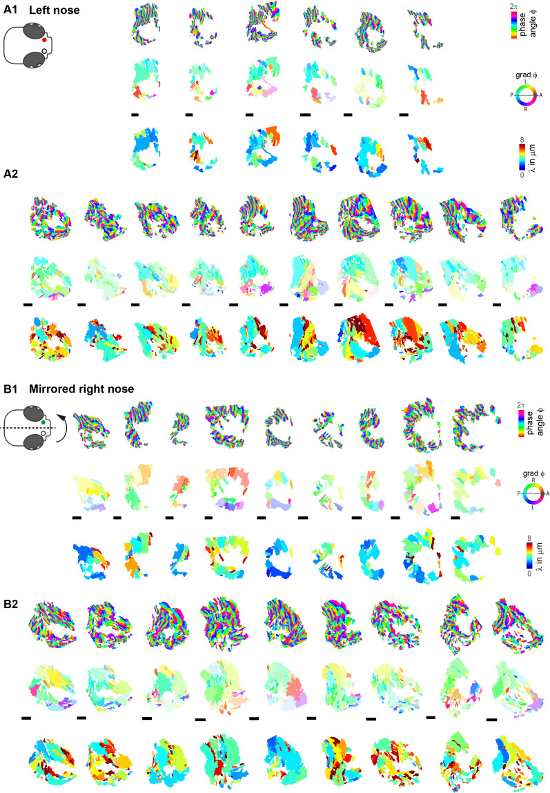 Figure 5—figure supplement 1.