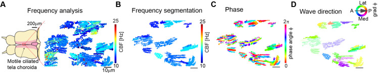 Figure 4—figure supplement 2.