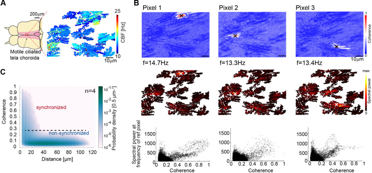 Figure 2—figure supplement 4.