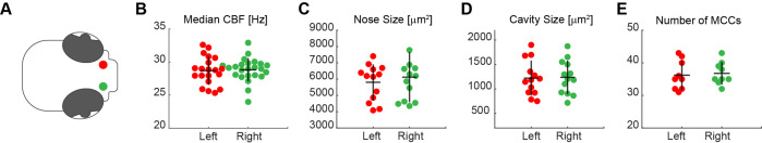 Figure 5—figure supplement 3.