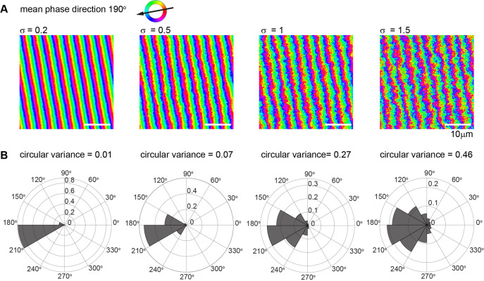 Figure 6—figure supplement 1.