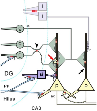 Figure 13