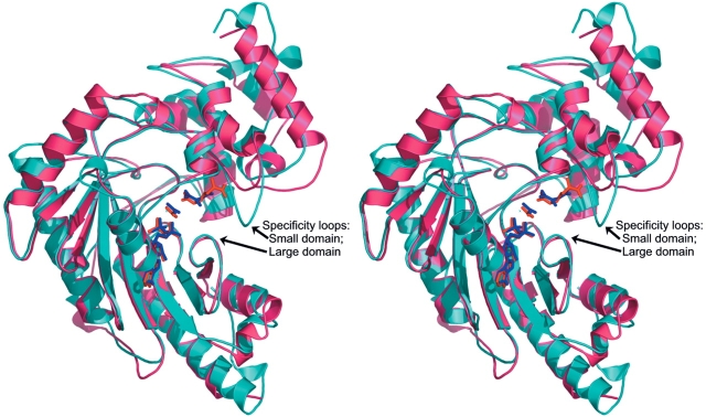 Figure 2.