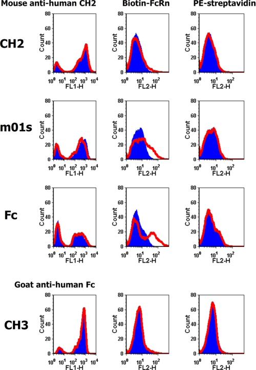 FIGURE 5.