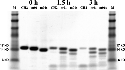 FIGURE 3.