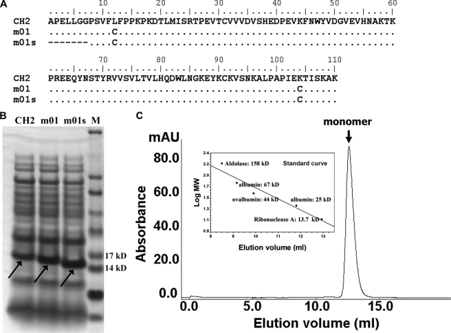 FIGURE 1.