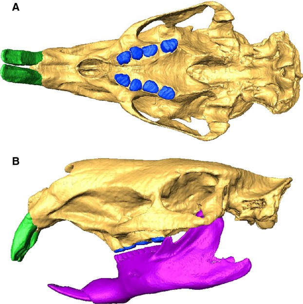 Fig 1