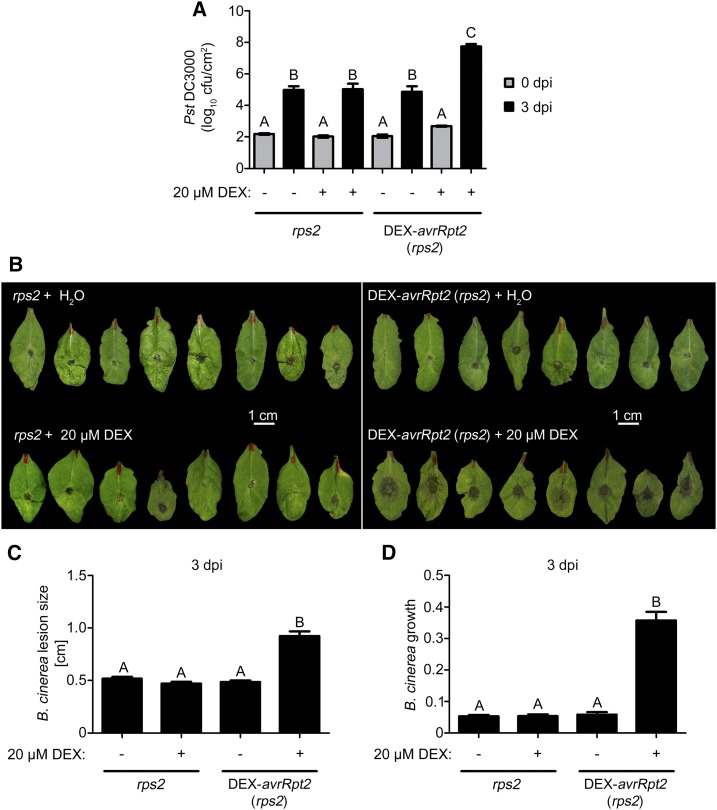 Figure 6.