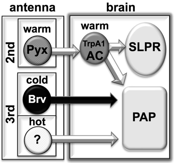 Figure 7.